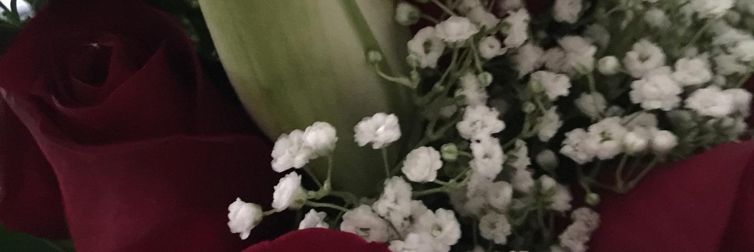 CabanPc's profile banner image