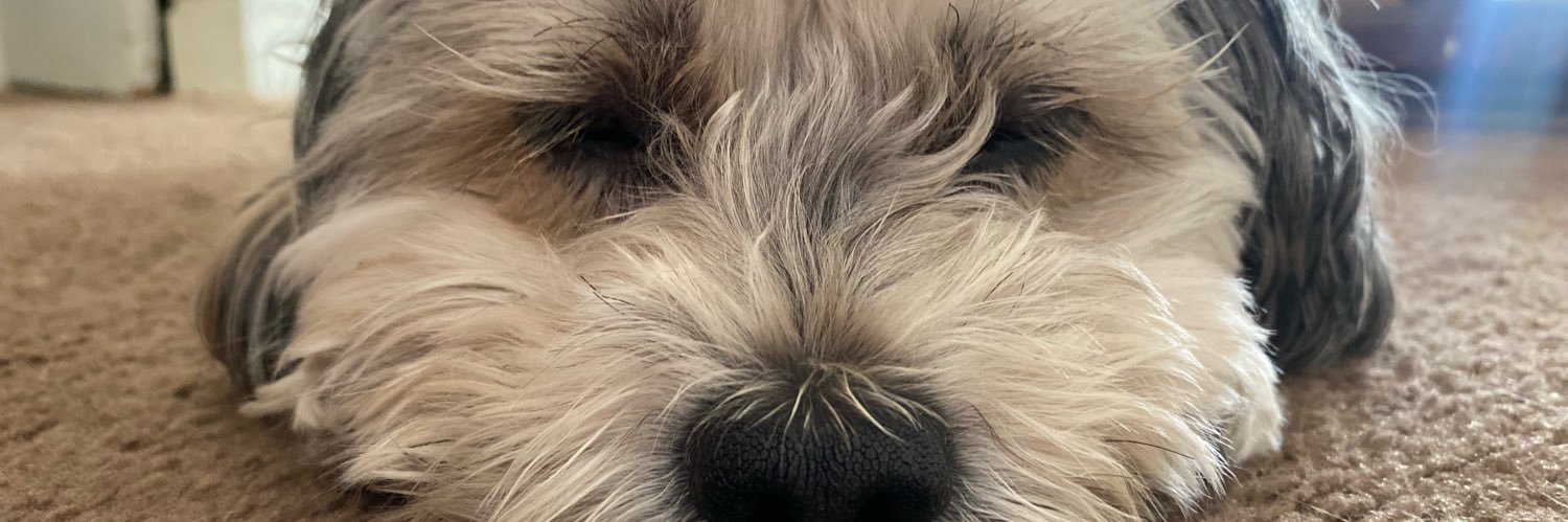 marybeth____'s profile banner image