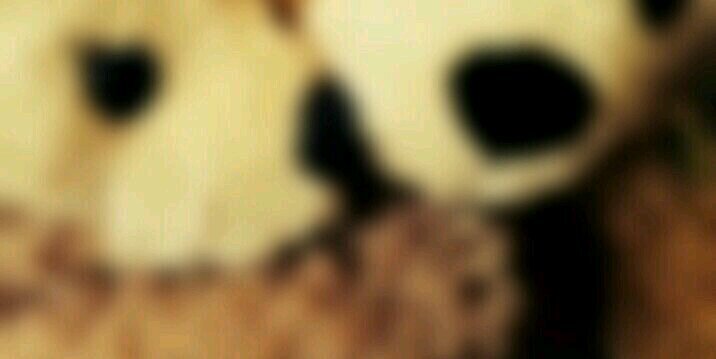 BODY_____T's profile banner image