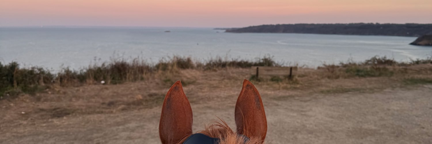 ju_brynl's profile banner image