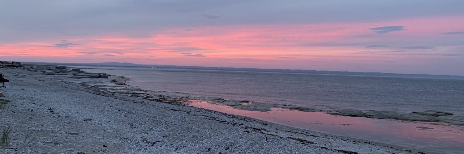 Isabelle Paradis banner