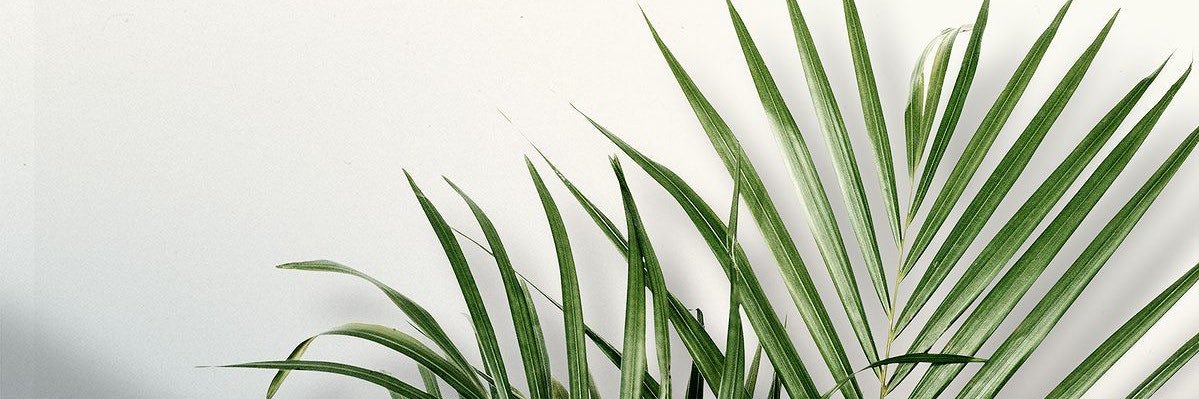 maumaqueda's profile banner image