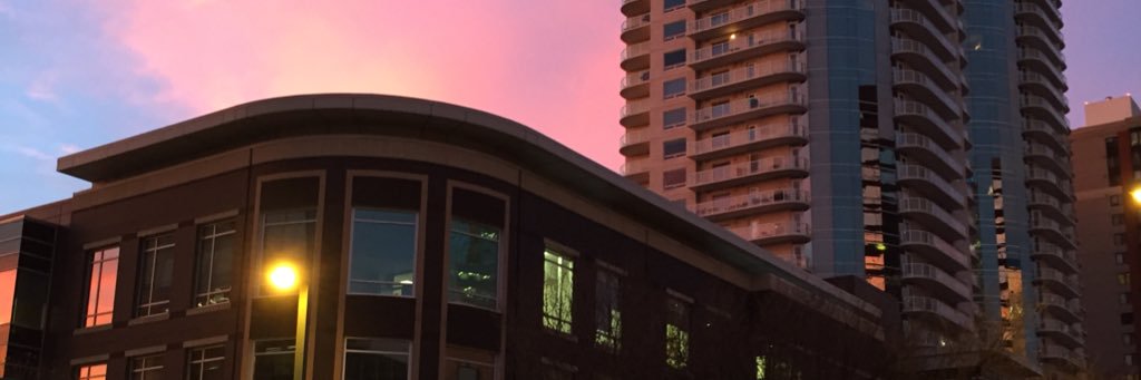 dangerbell's profile banner image