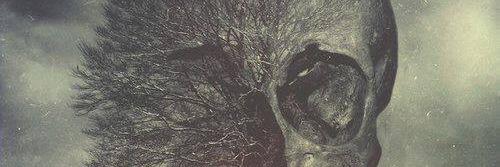 CckHmns's profile banner image