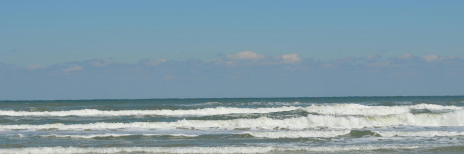 mitchaintrich's profile banner image