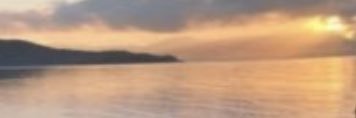 ♡♪ banner