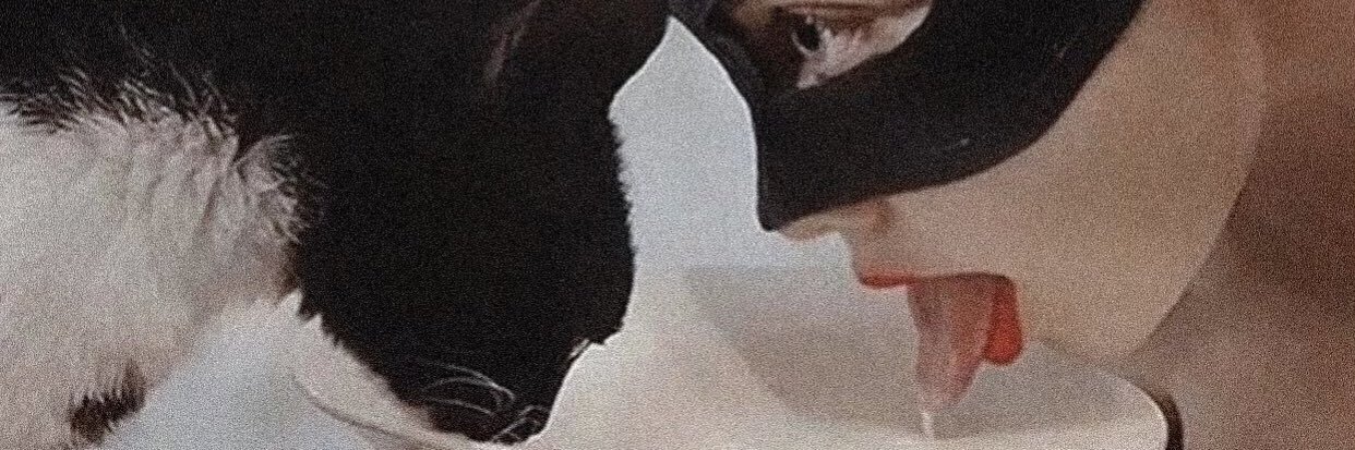_kittykathy's profile banner image