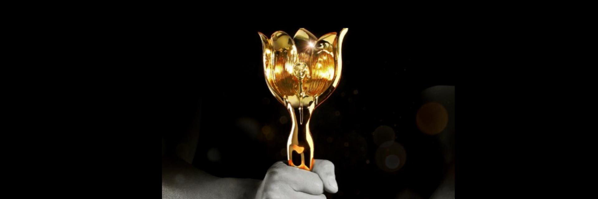 Multi-Award Winning Film Director banner