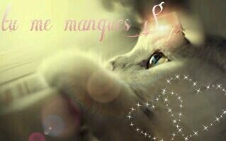 2Amelie91's profile banner image