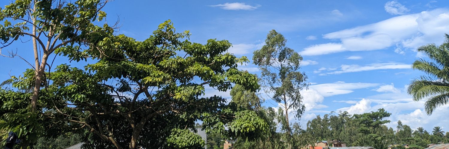 NickJrVusindi's profile banner image