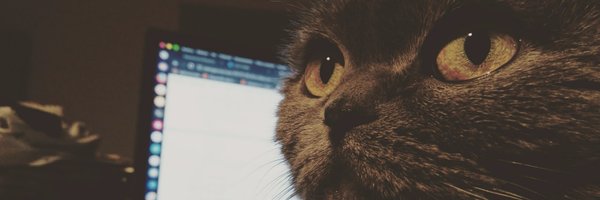 _kelp Profile Banner