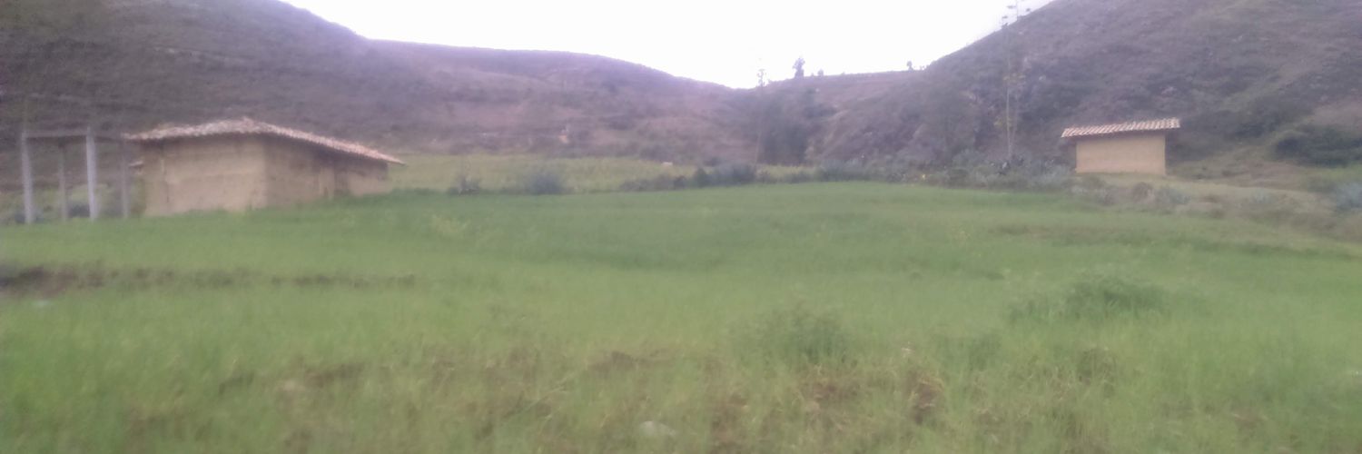 markol20's profile banner image