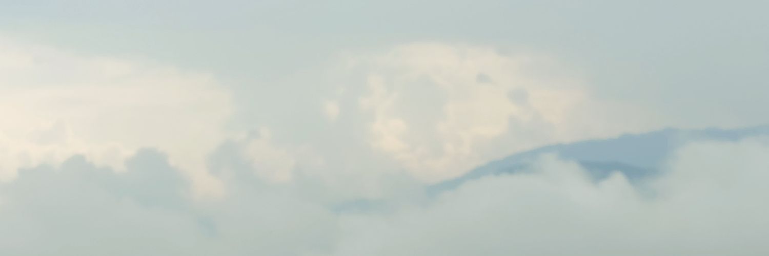 zany zing banner