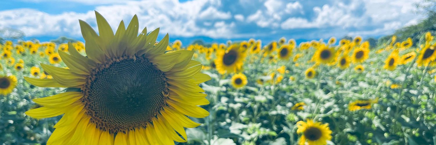 Mabeliu_'s profile banner image