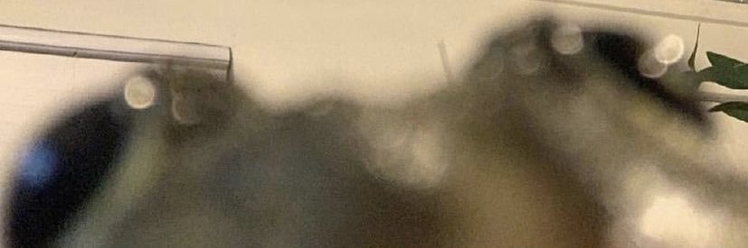 EuanBeckles's profile banner image