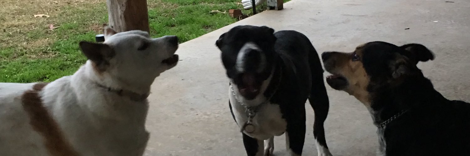 Stacy_AW's profile banner image