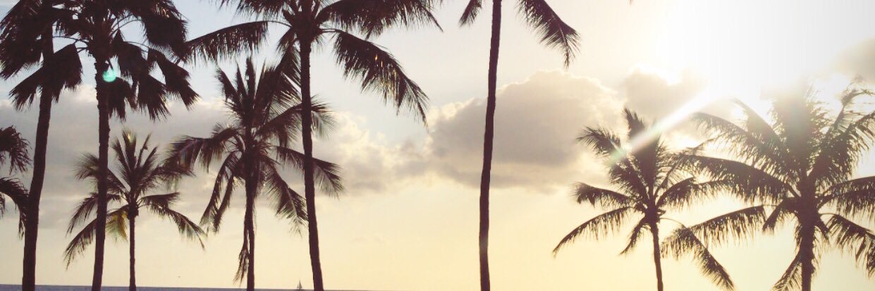 malloryjstone's profile banner image