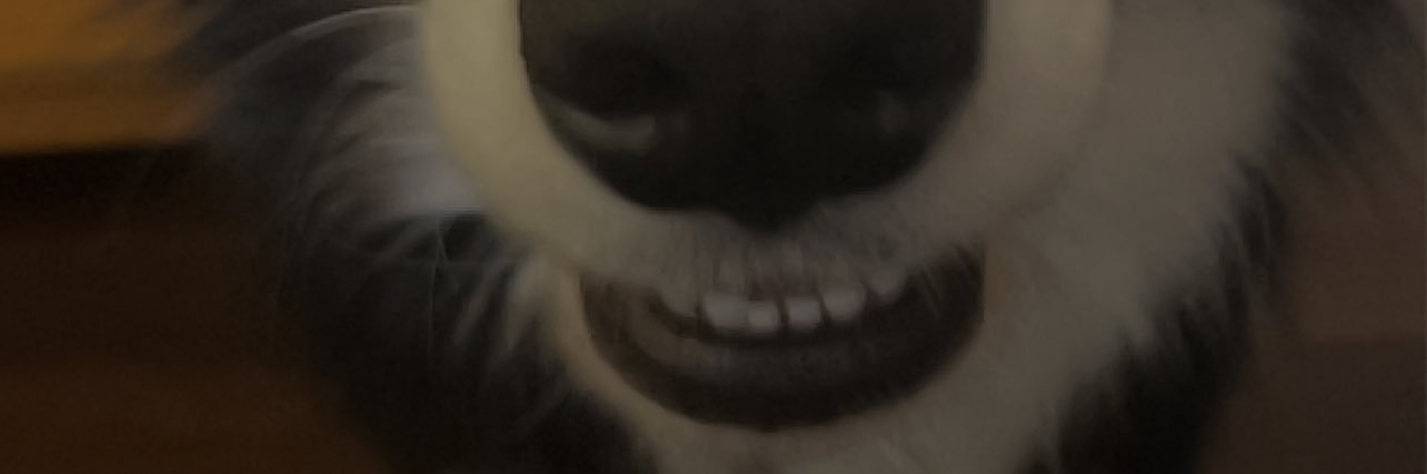 _Talaska_'s profile banner image