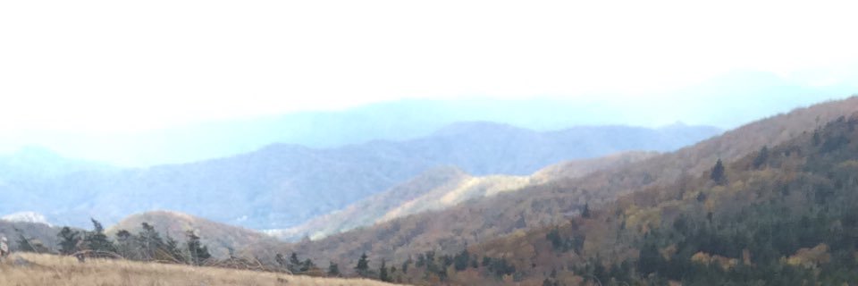 HannahBowers6's profile banner image