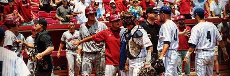 BradApplin29's profile banner image