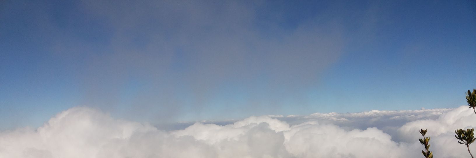 haliiiim26's profile banner image