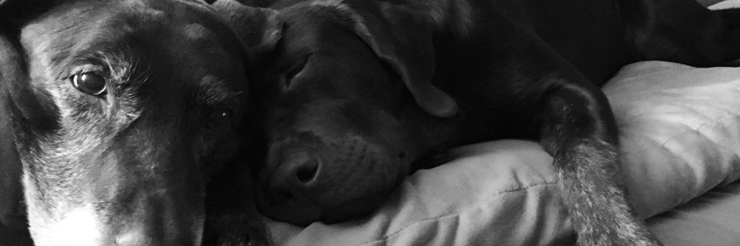 jfasick77's profile banner image
