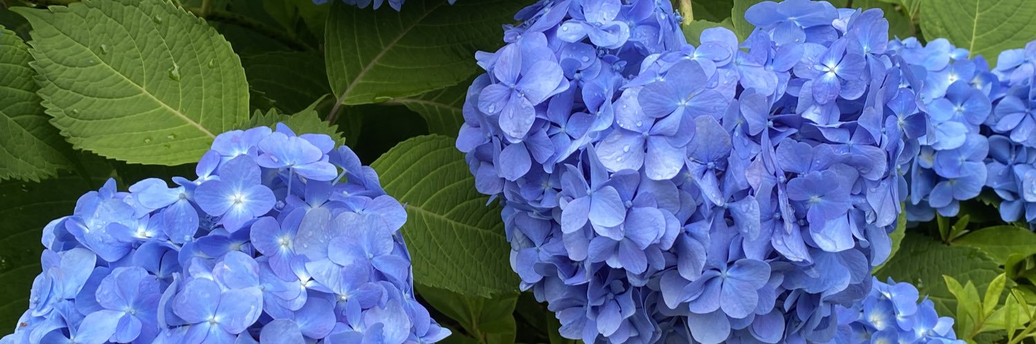 ほりごめちえ banner