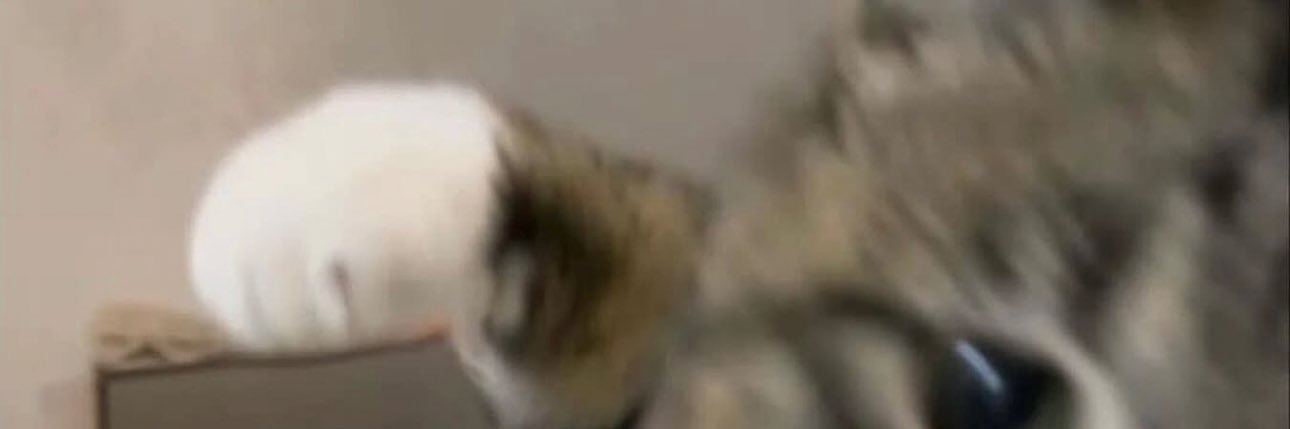 _SeanJawnn's profile banner image