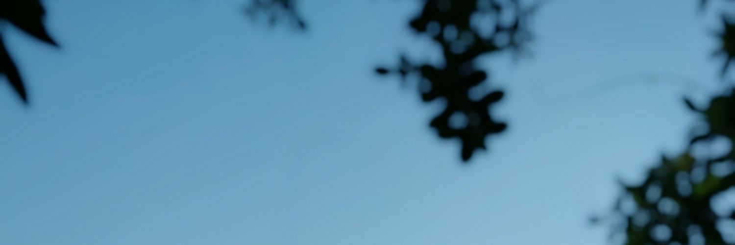 _sarafff's profile banner image