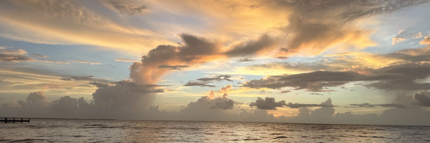iGotTheBRAINS's profile banner image