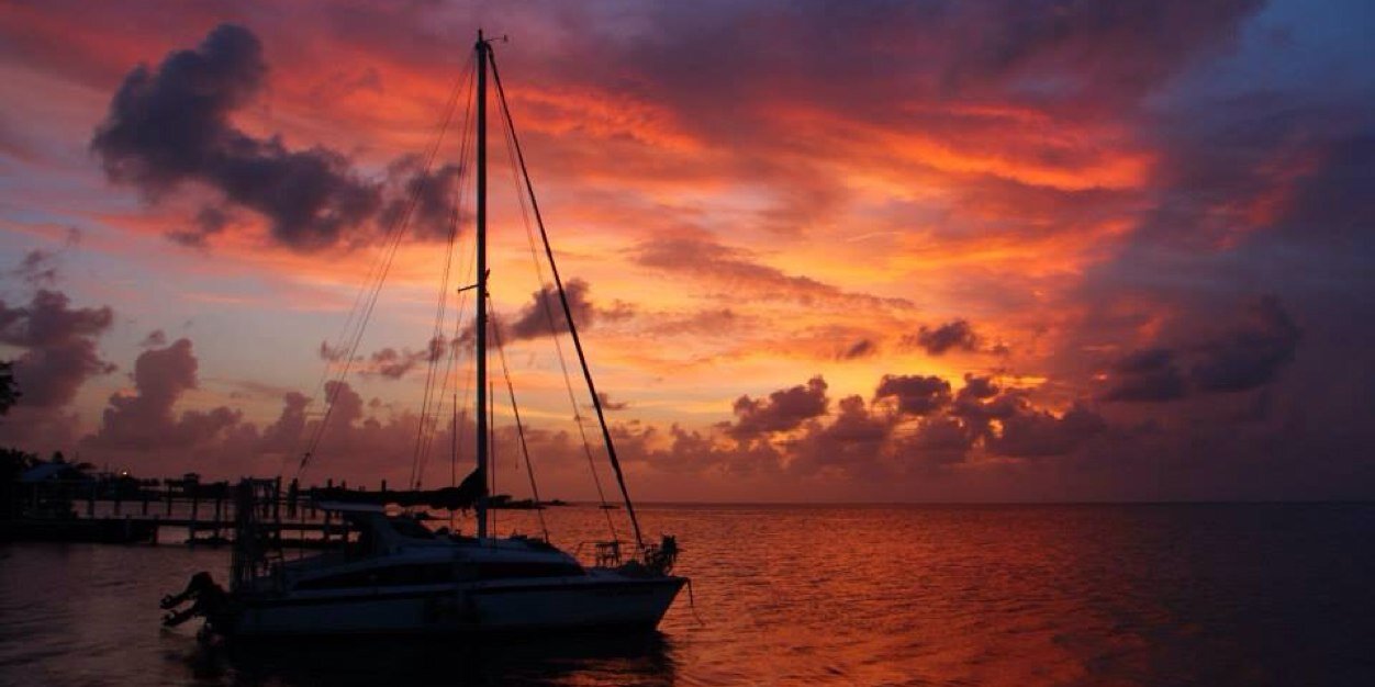 Jennifer Tromans banner