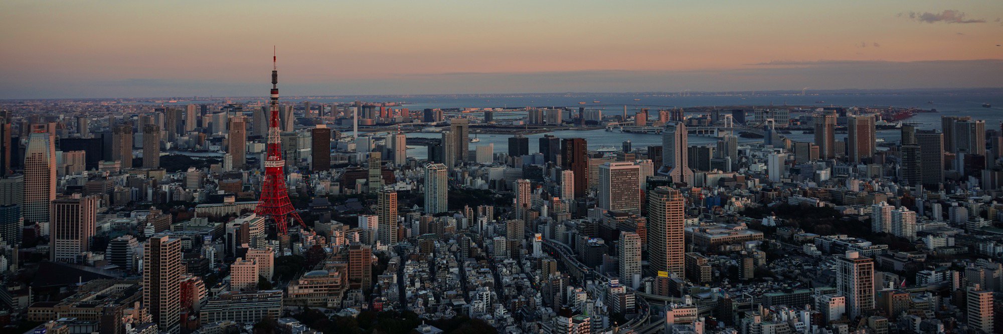 Charles McClean banner