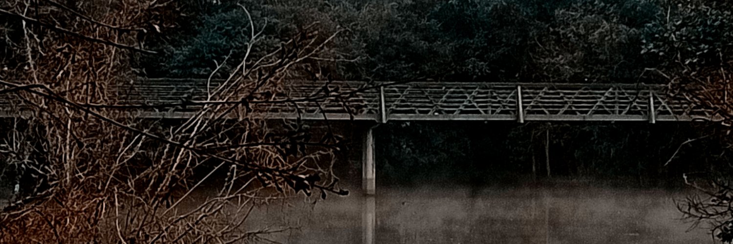 EmillyLuani's profile banner image