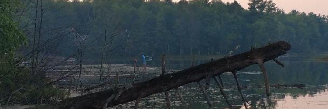 Wilc2c's profile banner image
