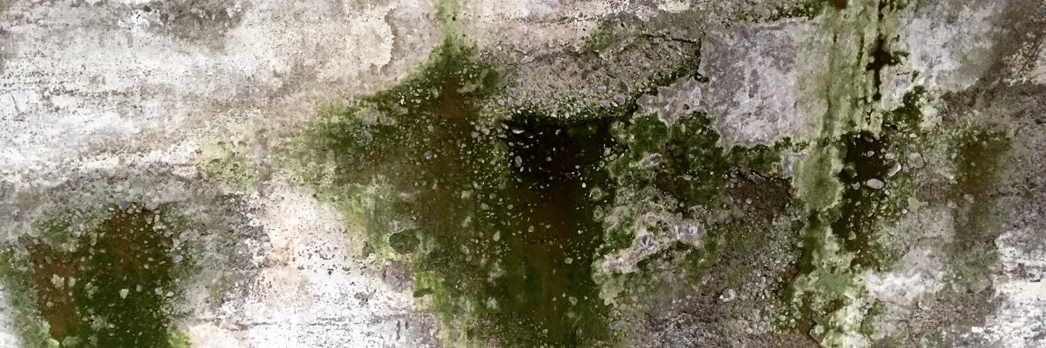 bjorbeljan's profile banner image