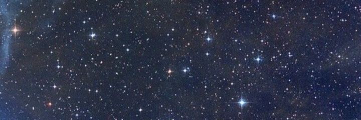 danielaIeon's profile banner image