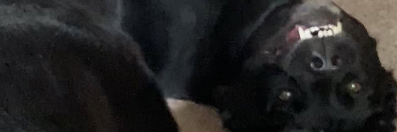 DanielleHarmony's profile banner image