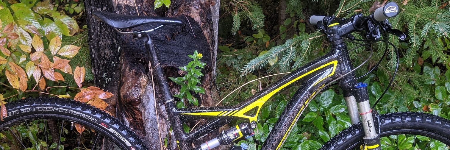 Michael Harris banner