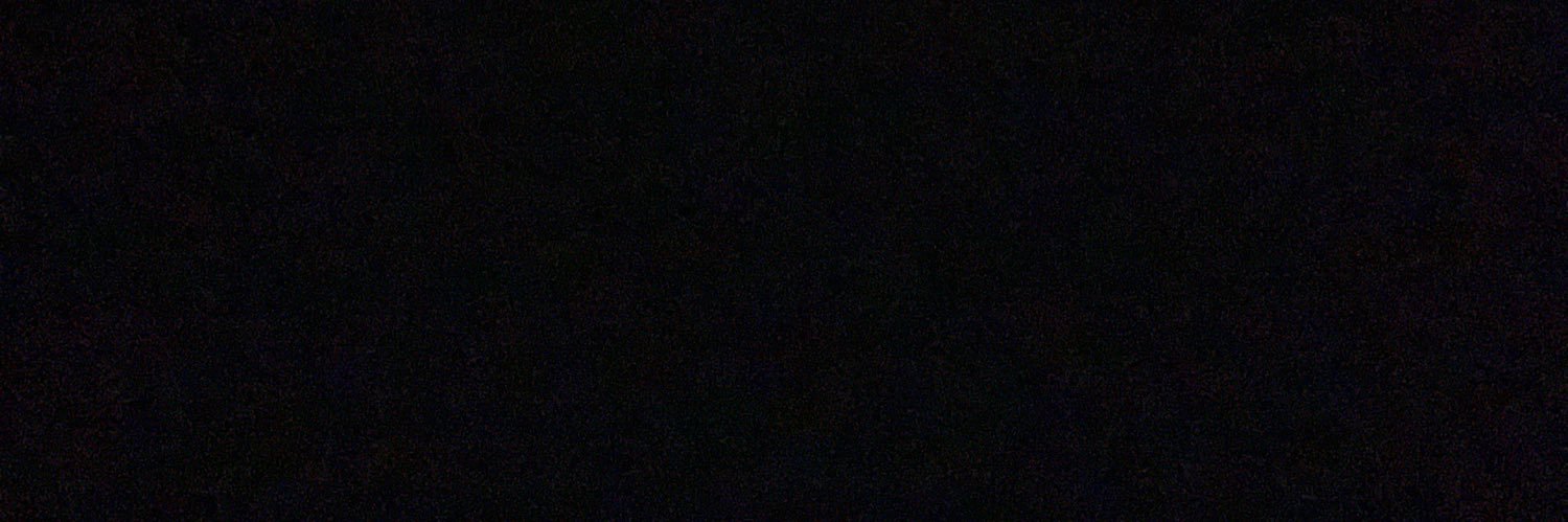 BellaBashari's profile banner image