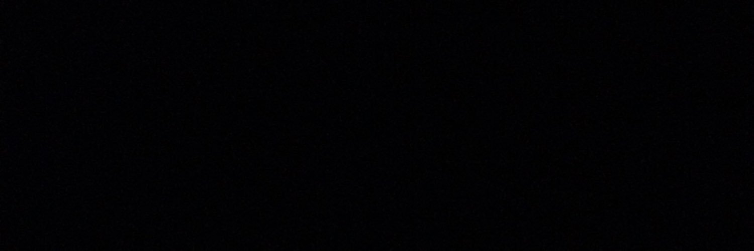 Alina Lisenkóva banner