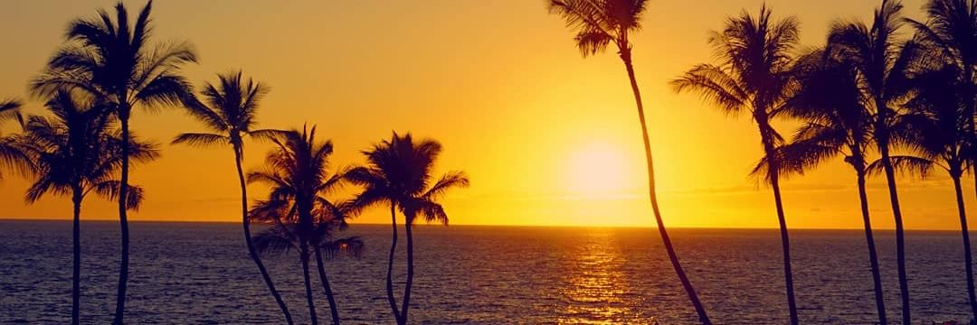 Curious Claire on BlueSky now banner