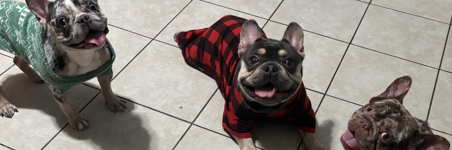 ohsheceli's profile banner image