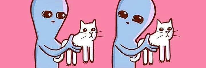 aperezp2000's profile banner image