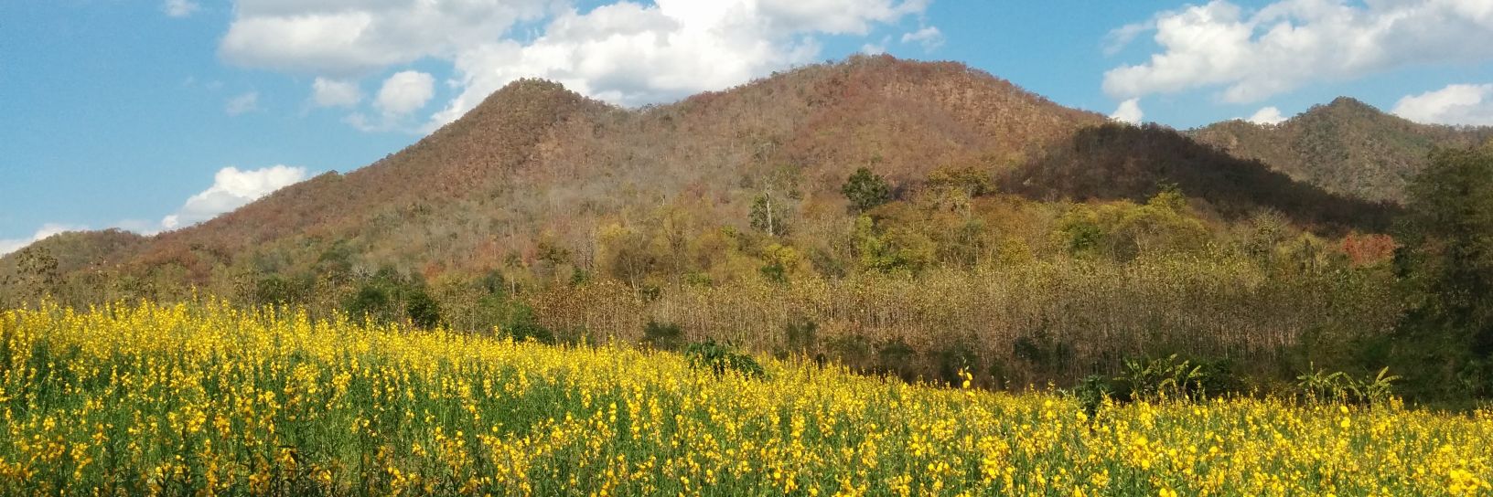 🐻‍❄️Lucy🍒🤍❤️‍🩹 banner