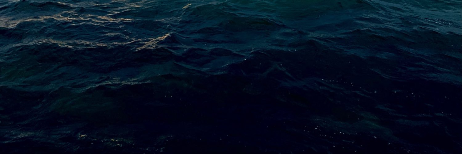 veyire's profile banner image