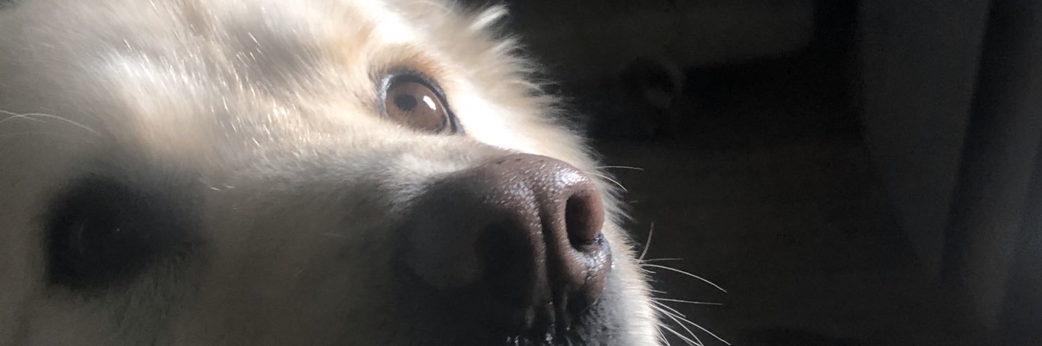 BazookaJoe786's profile banner image