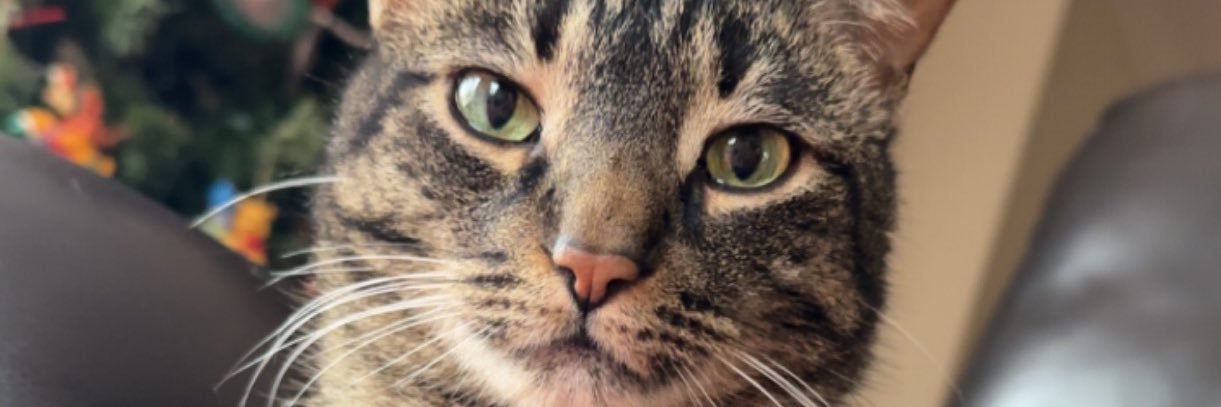 joordannj's profile banner image