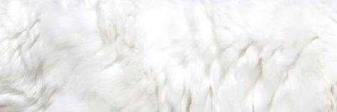 ko_na_i_e's profile banner image