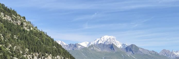 Michael Monfort banner