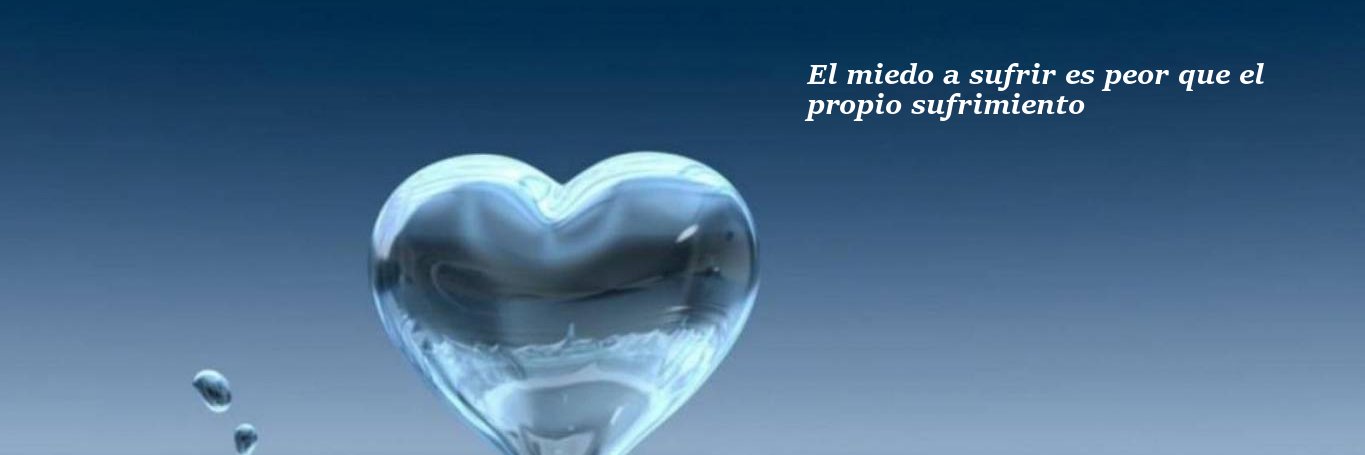 mariposas45's profile banner image